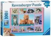 Opakowanie Puzzle 100 Słodkie kociaki XXL