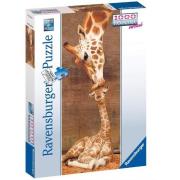 Opakowanie Puzzle 1000 EL. Panorama Żyrafy