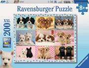 Opakowanie Puzzle 200 Idealne szczeniaki