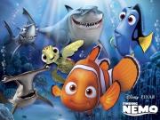 Opakowanie Puzzle 60 Gdzie jest Nemo