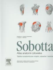 Opakowanie Atlas anatomii człowieka Sobotta