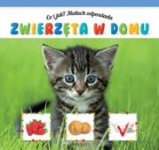 Co i jak? Maluch odpowiada. Zwierzęta w domu. Autor: praca zbirowa. Dadada.pl Okładka książki Co i jak? Maluch odpowiada. Zwierzęta w domu