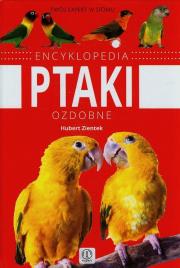 Expert. Encyklopedia ptaki ozdobne. Autor: Zientek Hubert. Dadada.pl Okładka książki Expert. Encyklopedia ptaki ozdobne