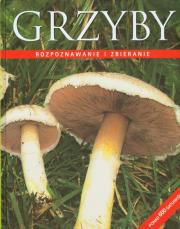Grzyby Rozpoznawanie i zbieranie. Autor: Till R. Lohmeyer, Ute Kunkele. Dadada.pl Okładka książki Grzyby Rozpoznawanie i zbieranie