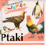 Ptaki Moje pierwsze słówka. Wydawca: Arti. Dadada.pl Opakowanie Ptaki Moje pierwsze słówka