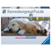 Okładka książki PUZZLE 1000 DWA SPIACE PSY-RAVENS