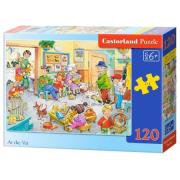 Opakowanie Puzzle 120 At the Vet CASTOR