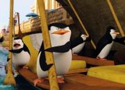 Okładka książki Puzzle 30. Pingwiny z Madagaskaru. ALEX