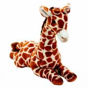 Okładka książki Żyrafa 35 cm