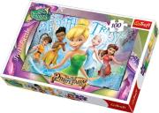 Okładka książki 16256 '100 - Dzwoneczek i wróżka piratka' / Disney Tinkerbell