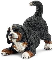 Okładka książki Bernardyn, szczenię