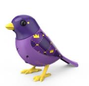 Opakowanie DigBirds 2 z ramką  Royal