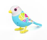 Opakowanie Digbirds z ramką Candy