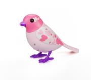 Opakowanie Digbirds z ramką Love