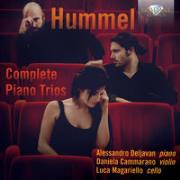 Hummel: Complete Piano Trios. Autor: Alessandro Deljavan, Daniela Cammarano, Luca Magariello. Dadada.pl Okładka książki Hummel: Complete Piano Trios