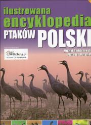 Ilustrowana encyklopedia ptaków Polski. Autor: Radziszewski Michał, Matysiak Mateusz. Dadada.pl Okładka książki Ilustrowana encyklopedia ptaków Polski