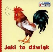 Jaki to dźwięk. Autor: Jarosław Kopała. Dadada.pl Okładka książki Jaki to dźwięk