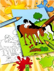 Okładka książki Kolorowanka Konie i Kucyki