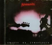 Kwiaty na żywopłocie. Autor: Kobranocka. Dadada.pl Okładka książki Kwiaty na żywopłocie