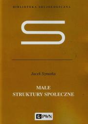 Małe struktury społeczne. Autor: Szmatka Jacek. Dadada.pl Okładka książki Małe struktury społeczne