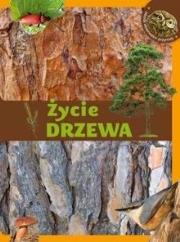 Młody obserwator przyrody. Życie drzewa. Autor: Okołów Grzegorz. Dadada.pl Okładka książki Młody obserwator przyrody. Życie drzewa