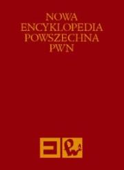 Opakowanie Nowa Encyklopedia Powszechna Tom 6