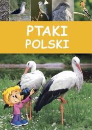 Okładka książki Ptaki Polski