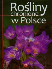 Rośliny chronione w Polsce. Autor: Izabella Sieńko-Holewa. Dadada.pl Okładka książki Rośliny chronione w Polsce