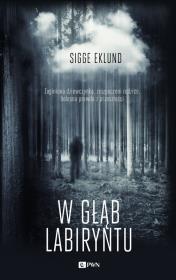 Okładka książki W głąb labiryntu