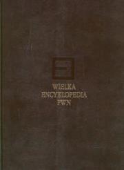 Opakowanie Wielka encyklopedia PWN Tom 6