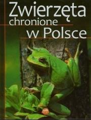 Zwierzęta chronione w Polsce. Autor: Weber Sylwia. Dadada.pl Okładka książki Zwierzęta chronione w Polsce
