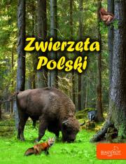Zwierzęta Polski. Autor: Elżbieta Zarych. Dadada.pl Okładka książki Zwierzęta Polski