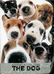 Opakowanie Notes kształtowy A6 Cleo i Frank (15szt) DERFORM