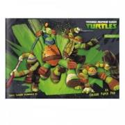 Opakowanie Papier kolorowy A5/10K Żółwie Ninja 25szt