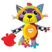 Opakowanie Szop Rylie