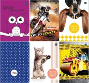 Opakowanie Zeszyt A5/32K kolorowa kratka UV mix (10szt)