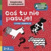 Akademia mądrego dziecka. Coś tu nie pasuje. Autor: Boboryk Anna. Dadada.pl Okładka książki Akademia mądrego dziecka. Coś tu nie pasuje