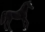 Opakowanie Czarny ogier rasy arabskiej ANIMAL PLANET