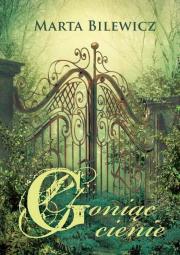 Okładka książki Goniąc cienie