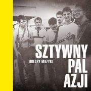 Okładka książki Kolory muzyki - Sztywny Pal Azji