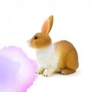 Opakowanie Królik brązowo-biały ANIMAL PLANET