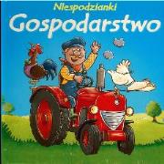 Okładka książki Niespodzianki - Gospodarstwo