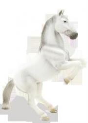 Opakowanie Ogier lipicański ANIMAL PLANET