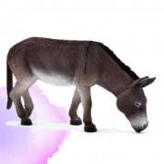 Opakowanie Osioł ANIMAL PLANET