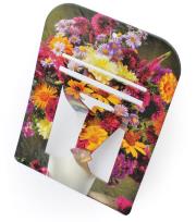 Podstawka pod zdzierak AVANTI. Autor:   Praca zbiorowa. Dadada.pl Okładka książki Podstawka pod zdzierak AVANTI