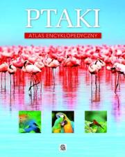 Ptaki. Atlas encyklopedyczny TW. Autor: Przybyłowicz Anna, Przybyłowicz Łukasz. Dadada.pl Okładka książki Ptaki. Atlas encyklopedyczny TW