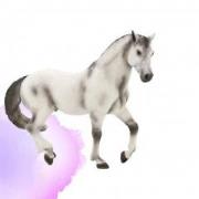 Opakowanie Siwy ogier rasy andaluzyjskiej ANIMAL PLANET