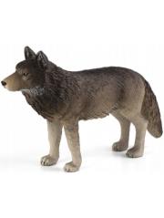Opakowanie Wilk szary stojący ANIMAL PLANET