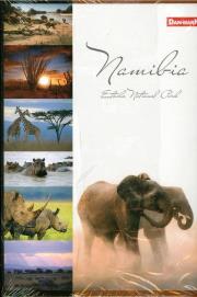 Opakowanie Zeszyt A5/96K/BR kratka 5 szt. National Park