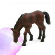 Opakowanie Źrebię rasy arabskiej ANIMAL PLANET